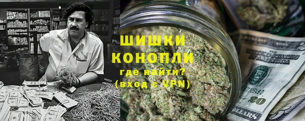 прущие грибы Балахна