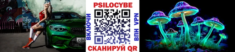 сайты даркнета клад  Гатчина  Псилоцибиновые грибы Magic Shrooms 